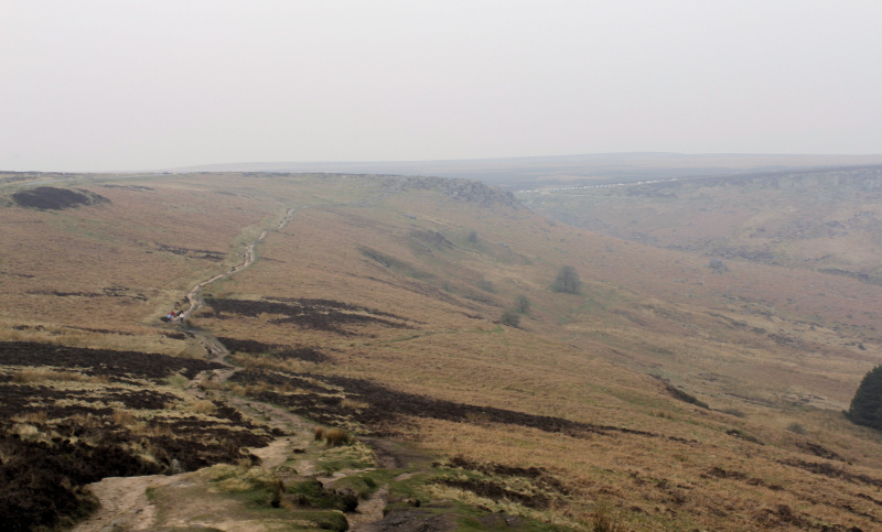 Fiddler's Elbow